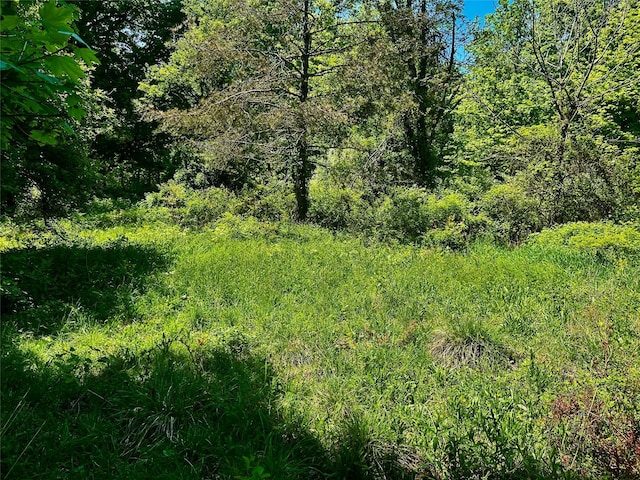 N Creek Rd, Clinton Corners, NY 12580 - photo 2