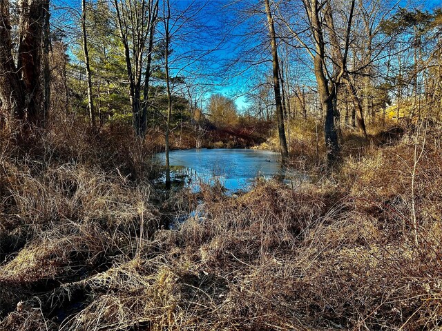 N Creek Rd, Clinton Corners, NY 12580 - photo 3