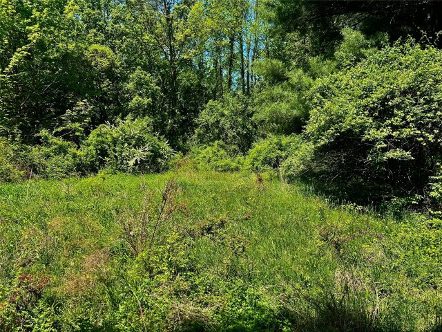 N Creek Rd, Clinton Corners, NY 12580 - photo 7