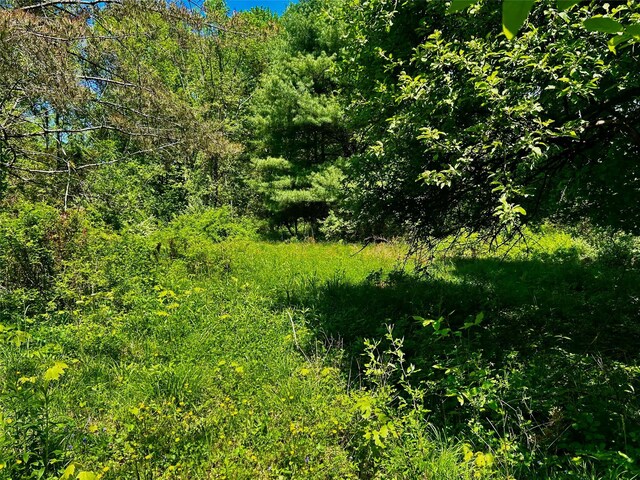 N Creek Rd, Clinton Corners, NY 12580 - photo 8