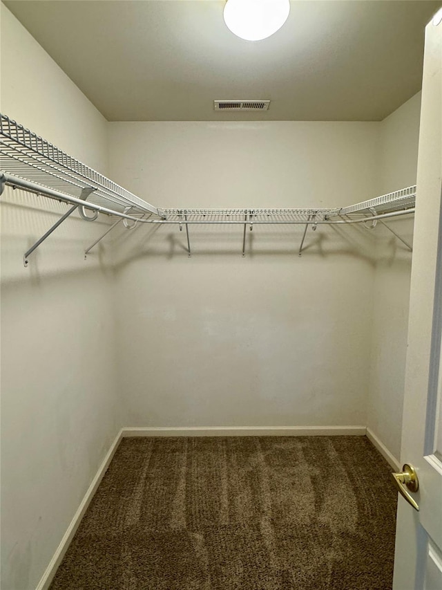 walk in closet featuring visible vents and carpet