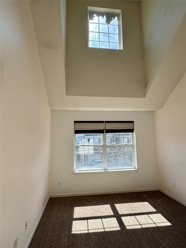 empty room with baseboards, carpet, and a high ceiling