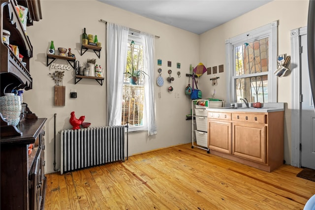 interior space with plenty of natural light, radiator heating unit, light wood-type flooring, and a sink