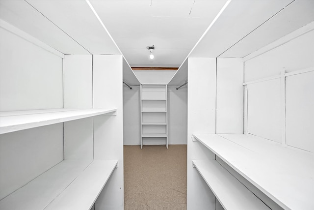 spacious closet with light floors