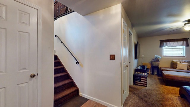 stairs featuring carpet and ceiling fan