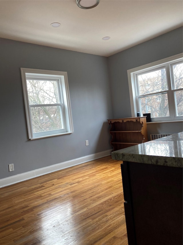 interior space featuring plenty of natural light, baseboards, and light wood-style floors