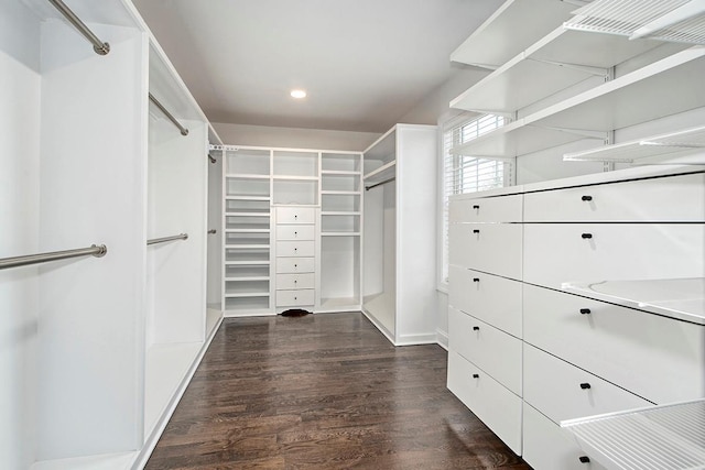 walk in closet with dark wood-style floors