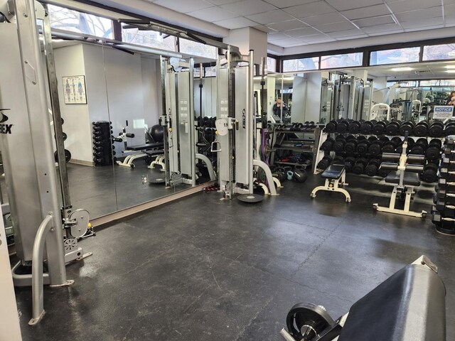 exercise room with a paneled ceiling