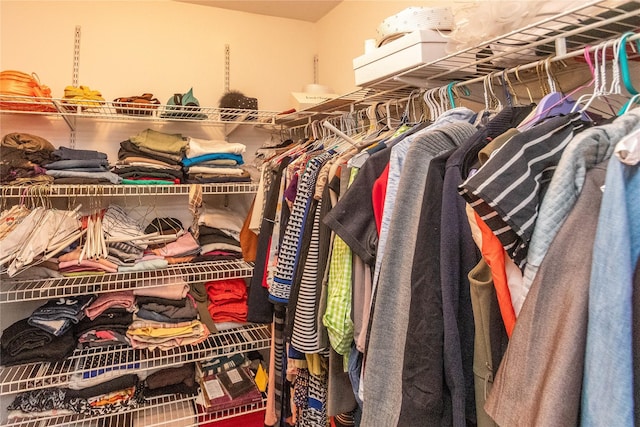 view of walk in closet