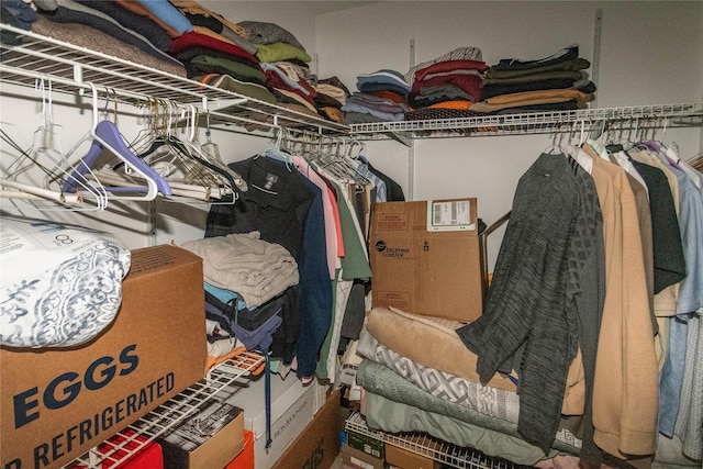 view of spacious closet