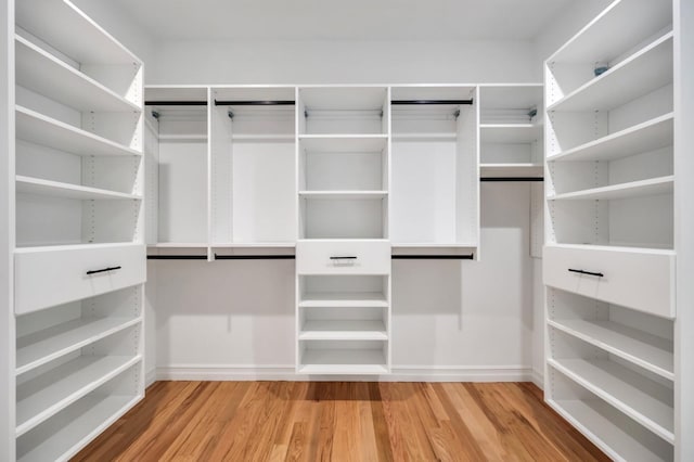 walk in closet with light wood finished floors