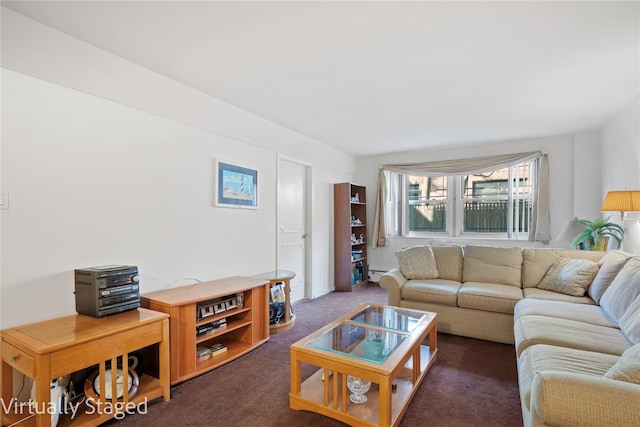 living area featuring carpet flooring and a baseboard heating unit