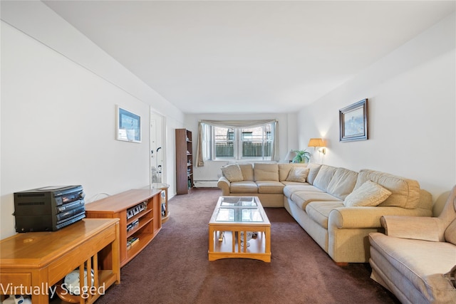 living room with a baseboard heating unit and carpet flooring