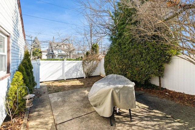 view of yard featuring a patio area and a fenced backyard