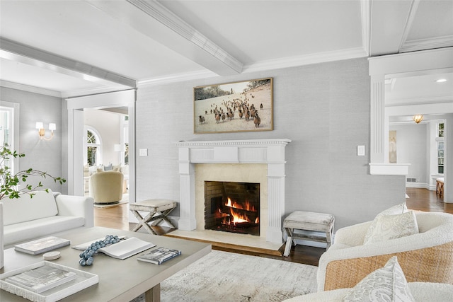 living area featuring ornamental molding, wood finished floors, and a premium fireplace