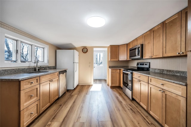 kitchen featuring light wood-type flooring, a wealth of natural light, stainless steel appliances, and a sink