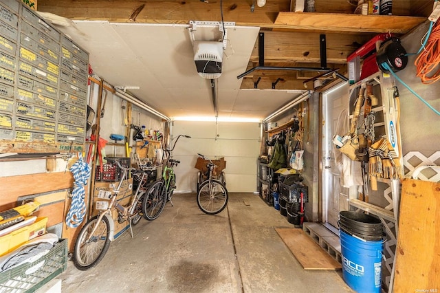 garage with a garage door opener