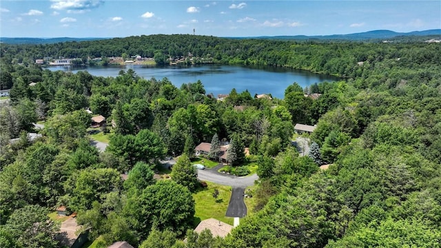 24 Morris Dr, Loch Sheldrake, NY 12759