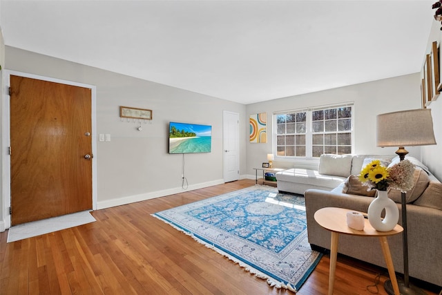 living room featuring baseboards and hardwood / wood-style floors