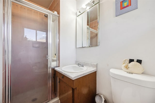 full bath featuring vanity, a shower stall, and toilet