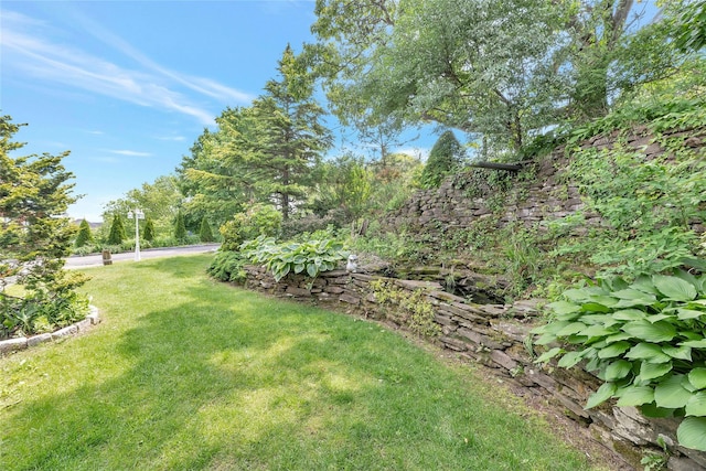 48 Crows Nest Dr, Baiting Hollow, NY 11901 - view of grassy yard
