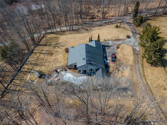 drone / aerial view