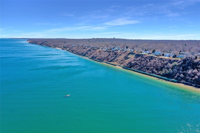 aerial view featuring a water view and a view of trees