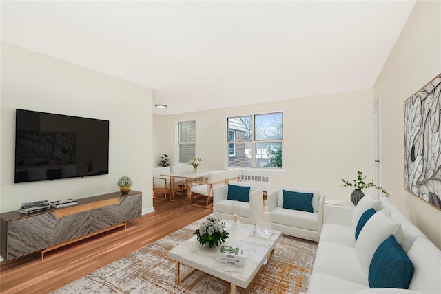 living room featuring wood finished floors