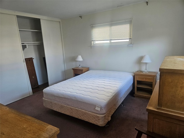 bedroom with dark colored carpet and a closet