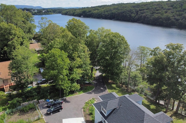 aerial view with a view of trees and a water view