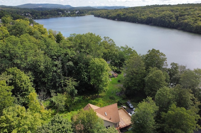 aerial view featuring a view of trees and a water view