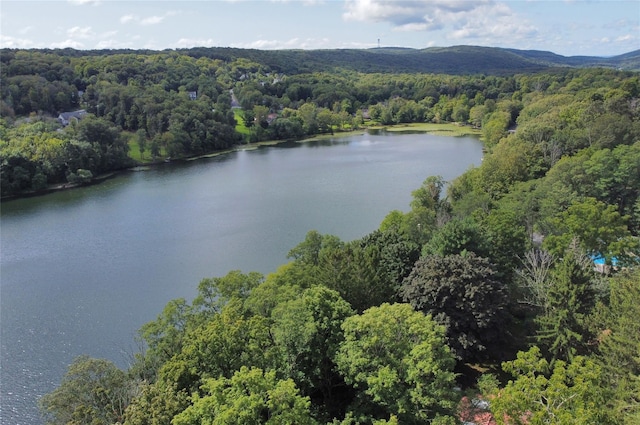 bird's eye view featuring a view of trees and a water view