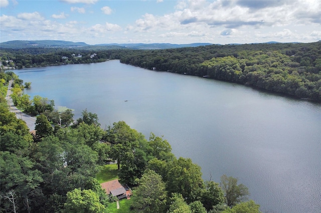 aerial view featuring a view of trees and a water and mountain view