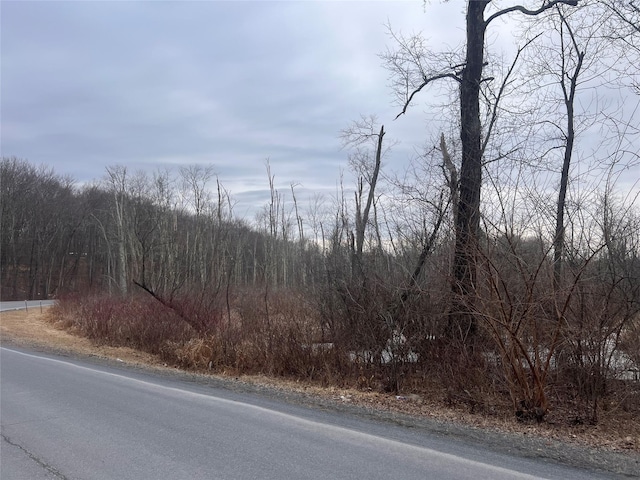 Freetown Hwy, Wallkill NY, 12589 land for sale