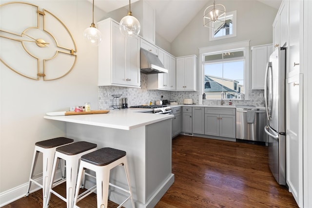 kitchen with dark wood-type flooring, under cabinet range hood, backsplash, appliances with stainless steel finishes, and a peninsula