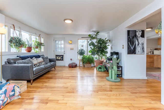 living area featuring a wealth of natural light and light wood-style floors