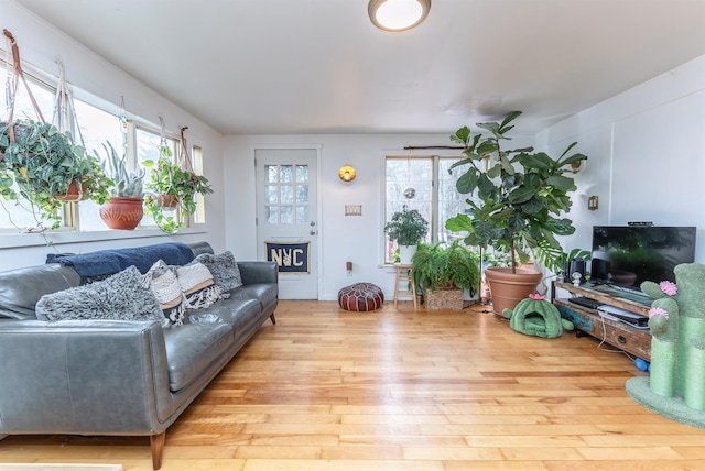 living room with a wealth of natural light and wood finished floors