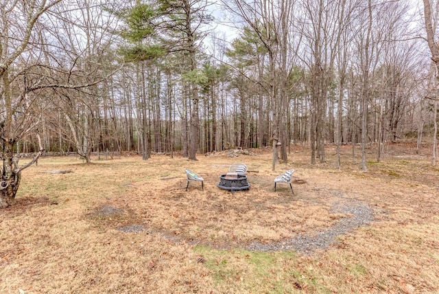 view of yard featuring a fire pit