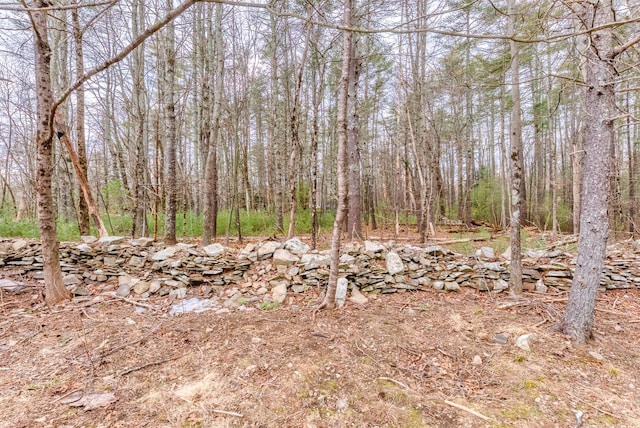 view of local wilderness with a forest view