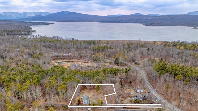 drone / aerial view with a water and mountain view