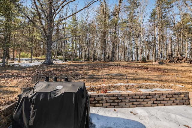 38 Marjorie Dr, Monticello, NY 12701 - view of yard
