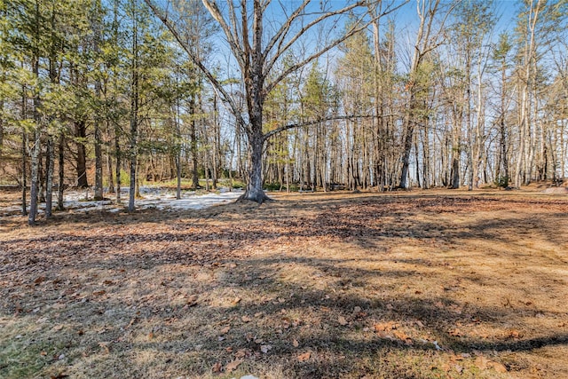 38 Marjorie Dr, Monticello, NY 12701 - view of yard