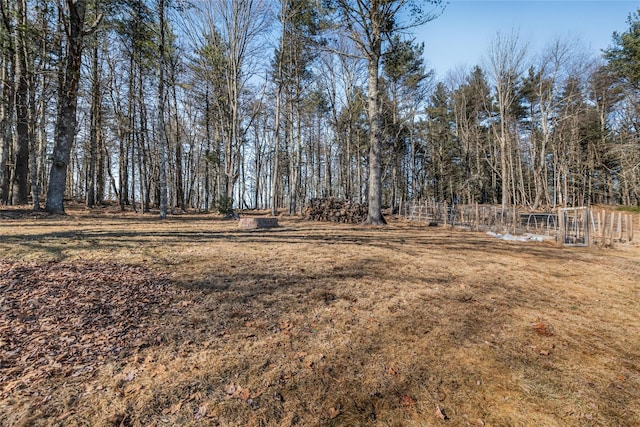 38 Marjorie Dr, Monticello, NY 12701 - view of yard