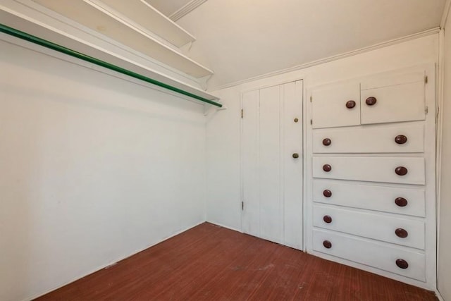 walk in closet with dark wood-type flooring