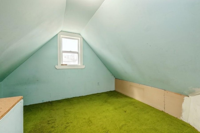 additional living space with vaulted ceiling and carpet