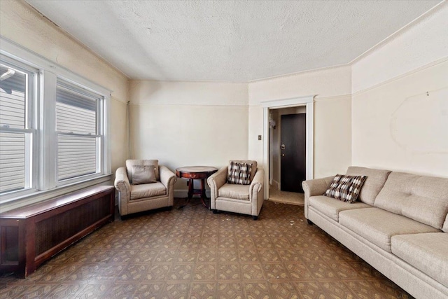 living room with a textured ceiling and radiator heating unit