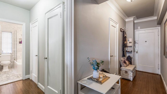 corridor featuring dark wood finished floors and crown molding