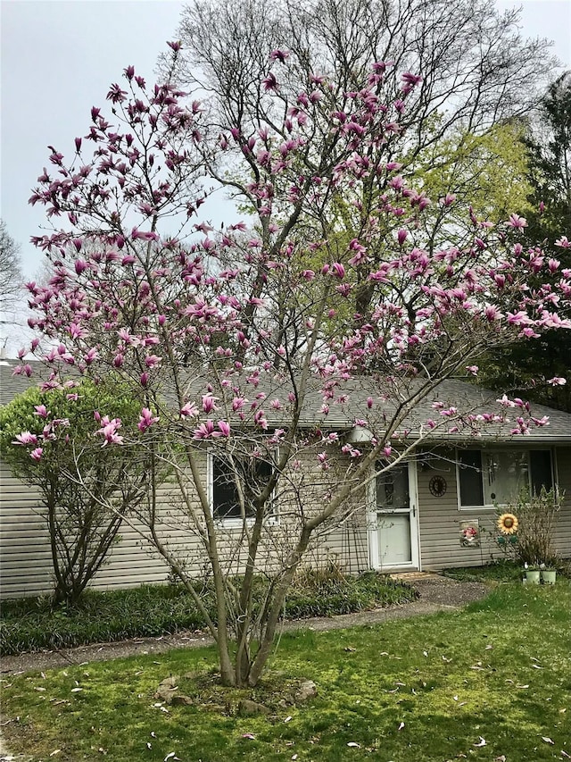 view of property exterior with a lawn