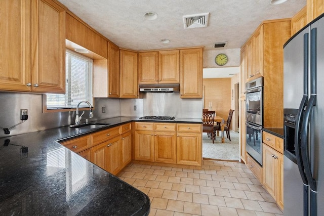 kitchen featuring a sink, visible vents, under cabinet range hood, and stainless steel appliances