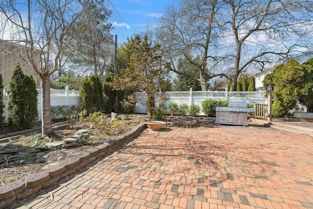 view of patio featuring area for grilling and a fenced backyard